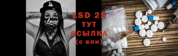 хмурый Снежногорск