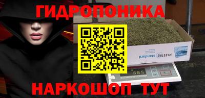 скорость Берёзовский