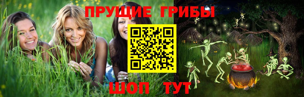 Псилоцибиновые грибы мицелий  Вход с VPN  Шали 